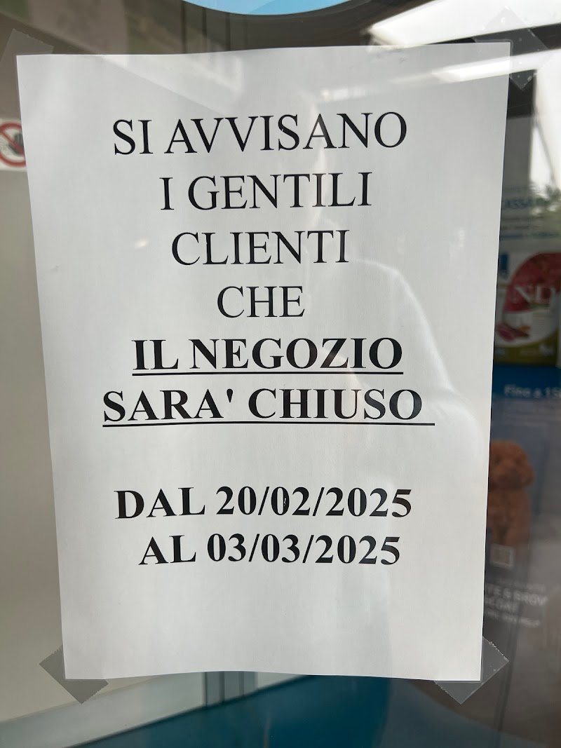 Toelettatura Micio Bau - Foto 3