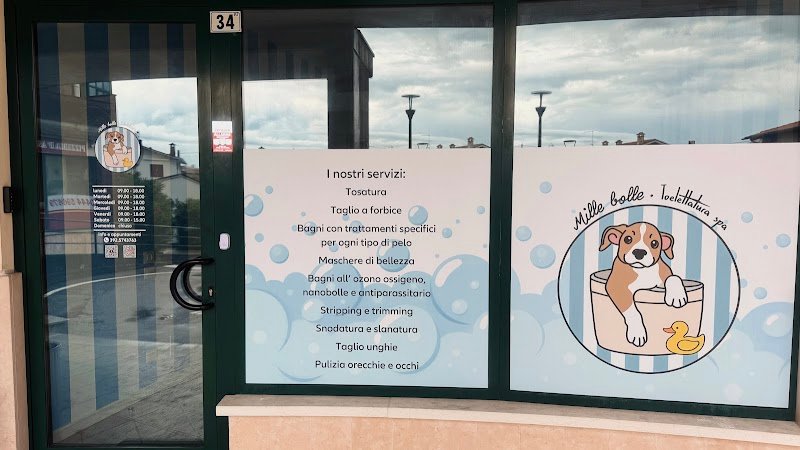 Toelettatura Mille Bolle - Foto 1