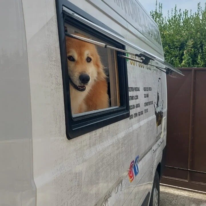 Toelettatura mobile Cristina beautyful dog - Foto 1