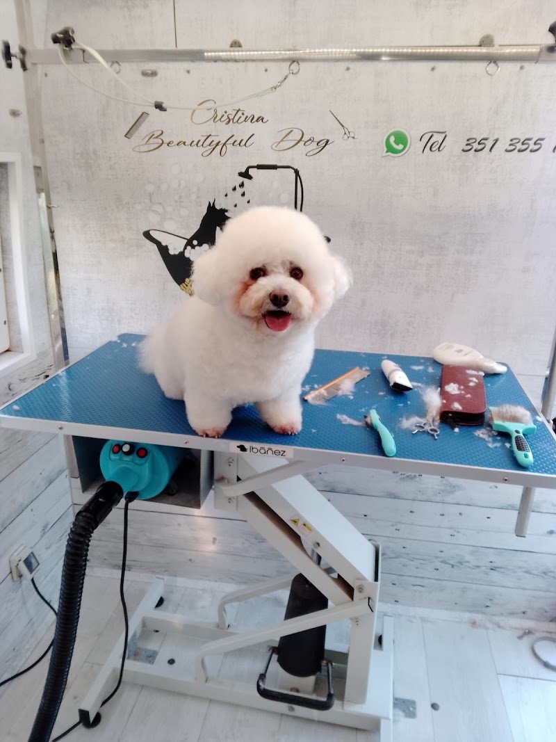 Toelettatura mobile Cristina beautyful dog - Foto 2