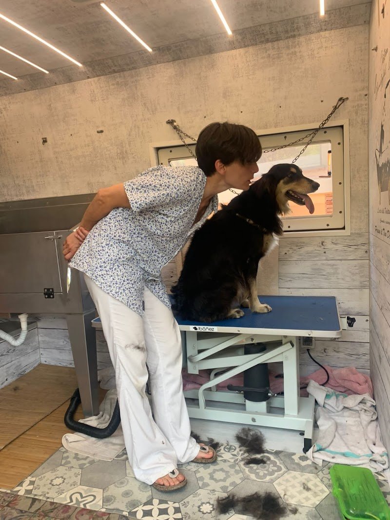 Toelettatura mobile Cristina beautyful dog - Foto 5