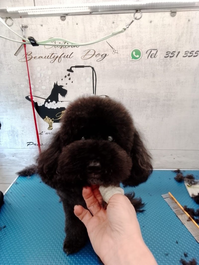 Toelettatura mobile Cristina beautyful dog - Foto 6