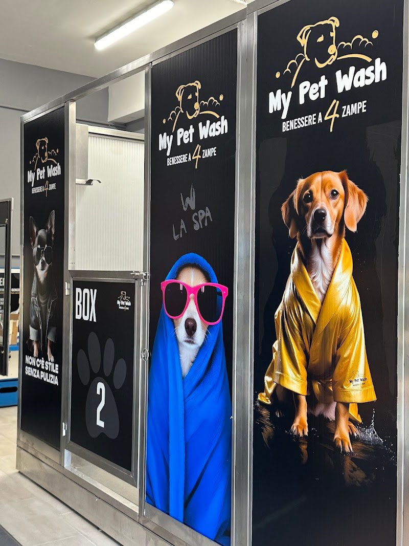 Toelettatura My pet wash Benevento - Foto 2