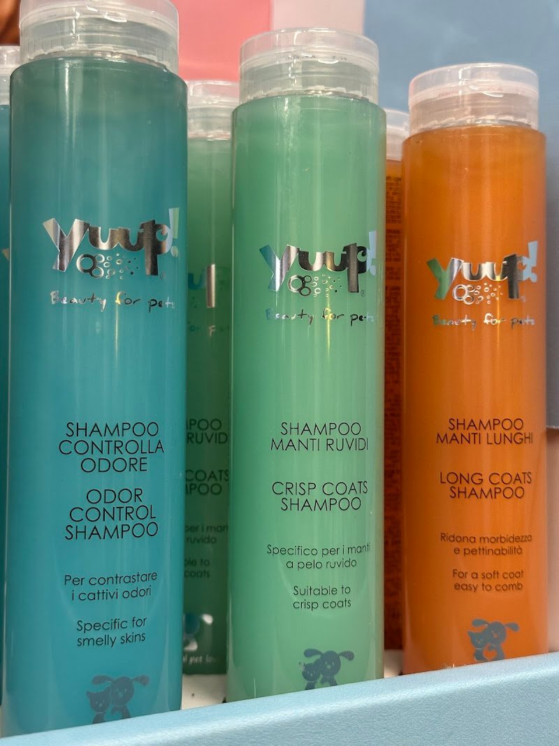 Toelettatura My pet wash Benevento - Foto 5