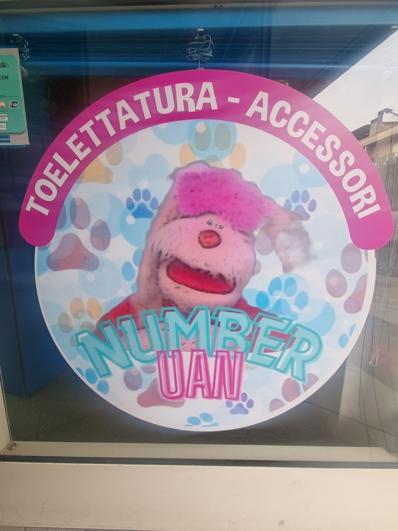 Toelettatura NumberUan By Bolle & Coccole Pescara - Foto 6