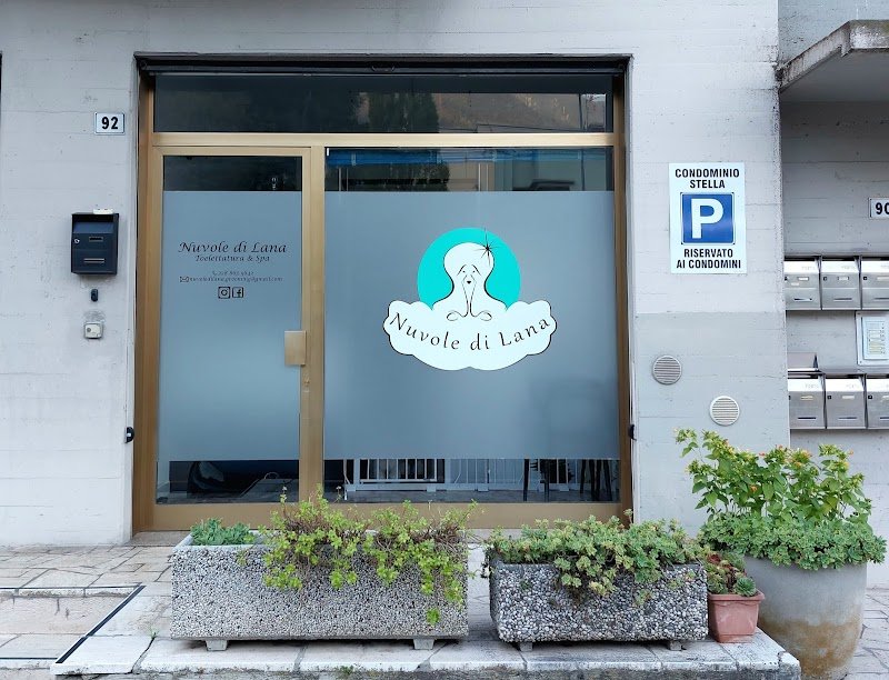 Toelettatura Nuvole di Lana - Foto 1