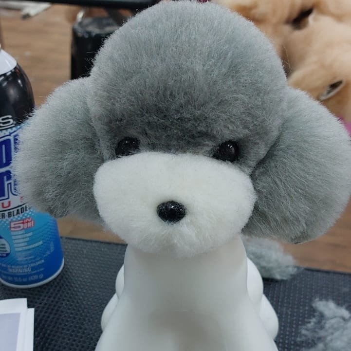 Toelettatura oasi del cane - Foto 4