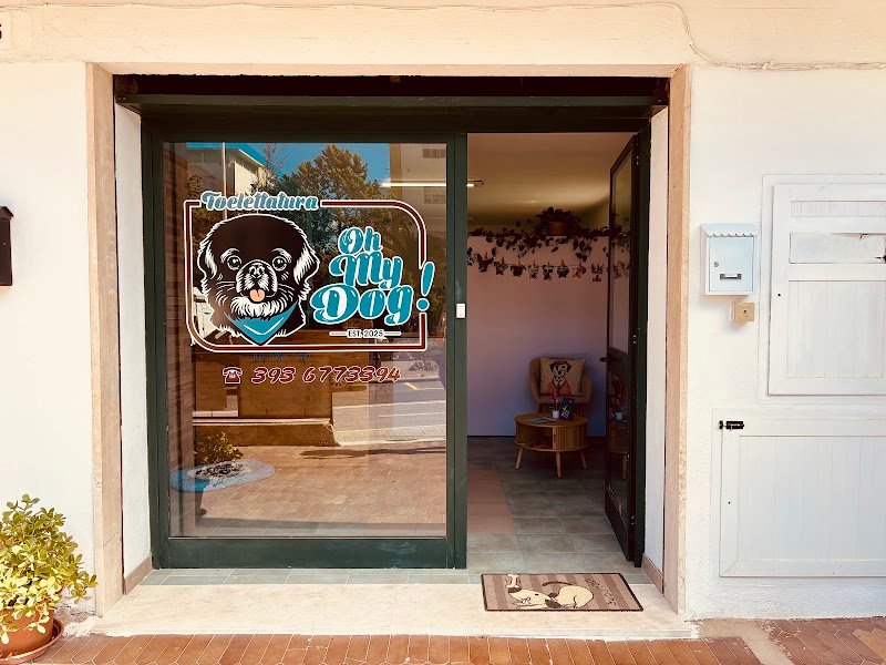 Toelettatura Oh my Dog! Di Elisa - Foto 4