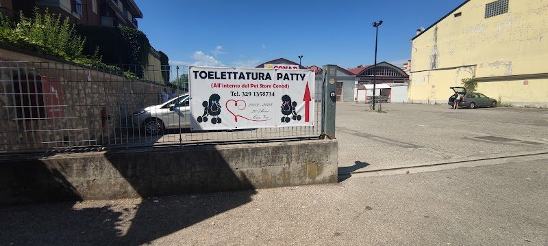 Toelettatura Patty (all'interno del Pet store Conad ) - Foto 6
