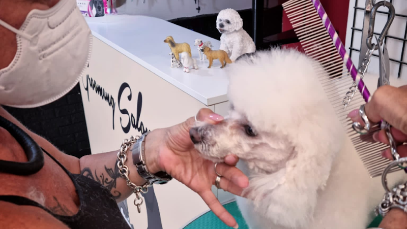 Toelettatura Pelomagia - Foto 1