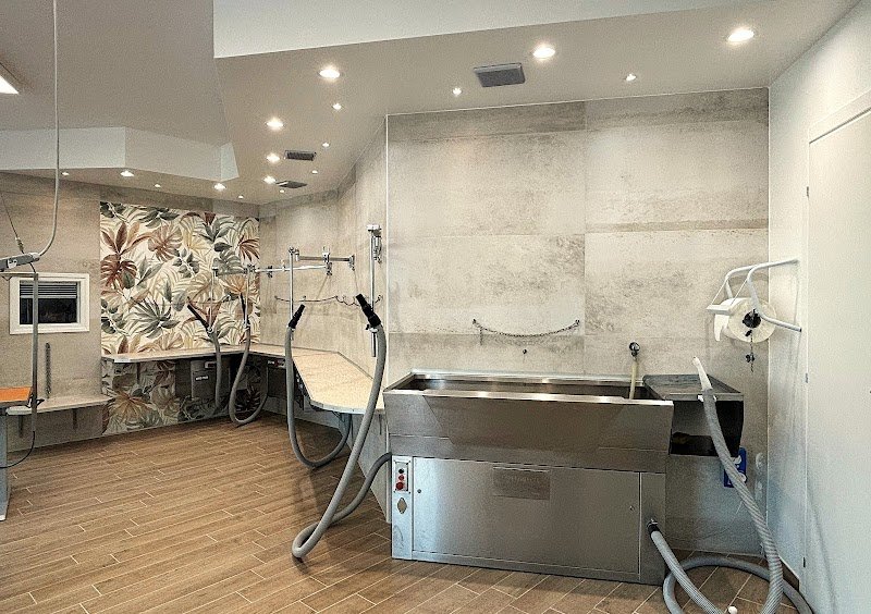 Toelettatura Pelomagia s.r.l. - Self Service e Tradizionale - Foto 1