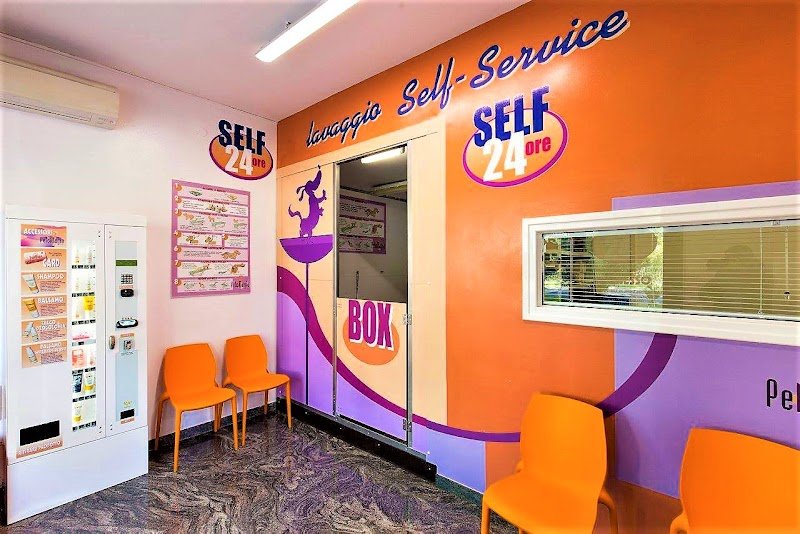 Toelettatura Pelomagia s.r.l. - Self Service e Tradizionale - Foto 3