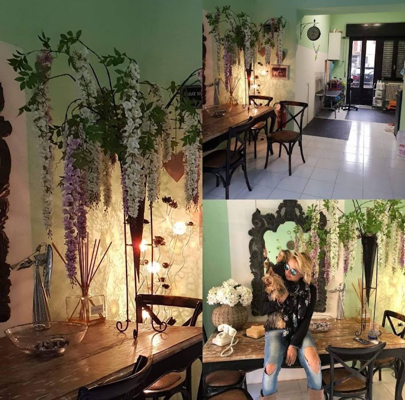 Toelettatura Pelopazzo - Foto 1