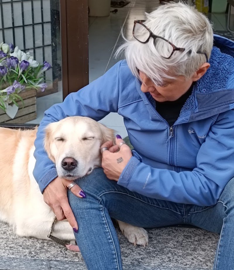 Toelettatura Pelopazzo - Foto 2