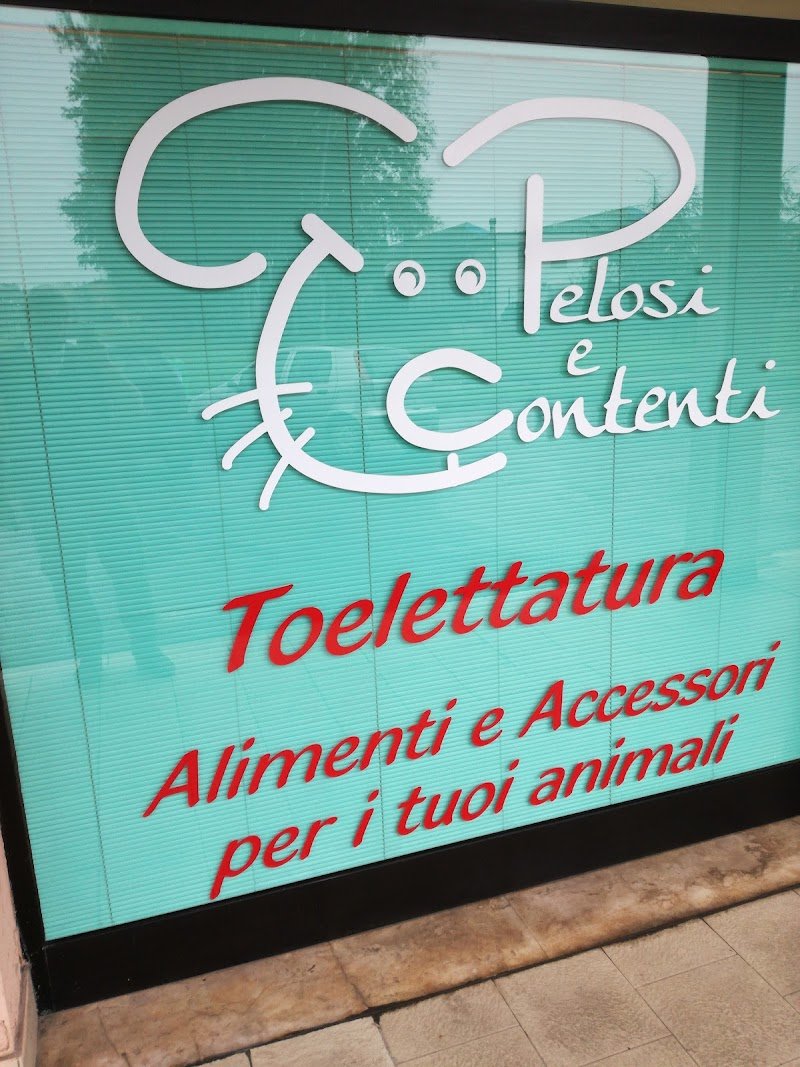 Toelettatura Pelosi E Contenti - Foto 1