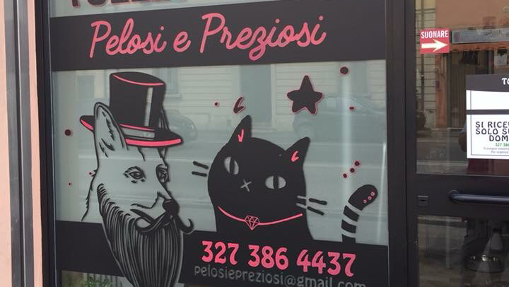 Toelettatura Pelosi e Preziosi - Foto 1