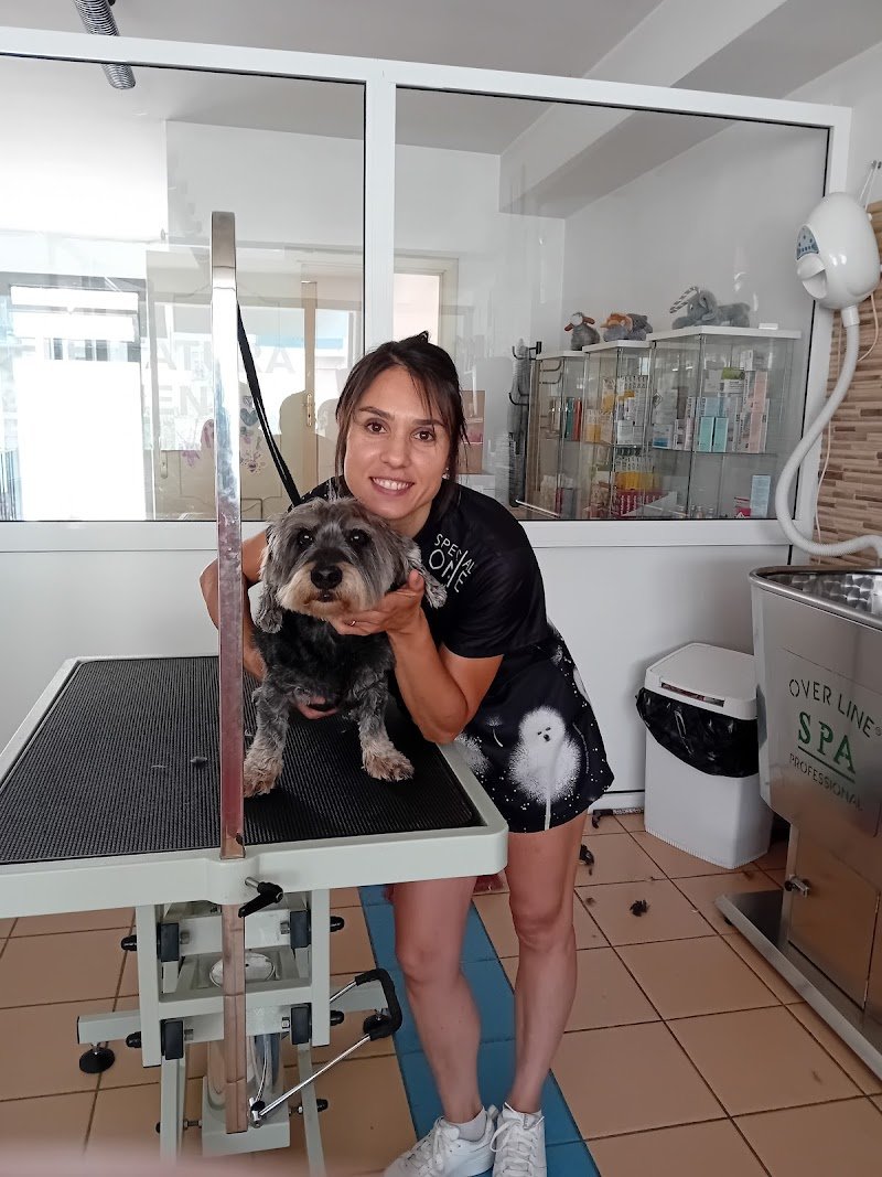 Toelettatura & Pensione - Rosaria Buglisi - Foto 6