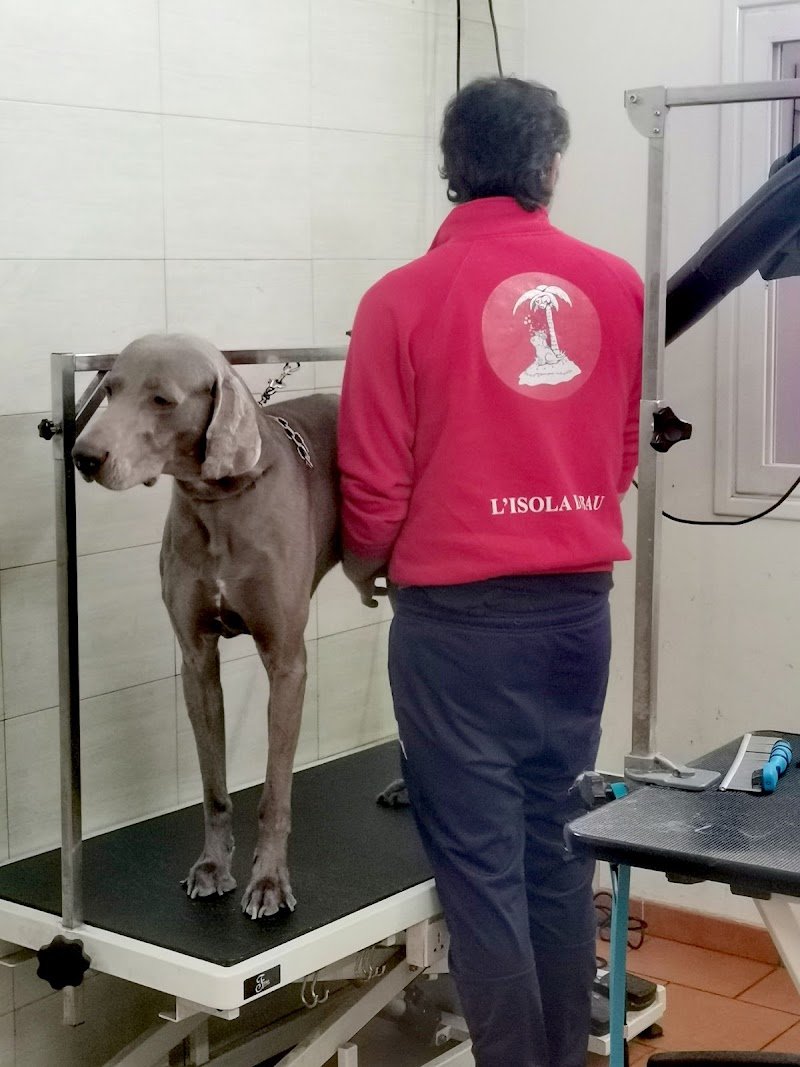 Toelettatura per Cani L'Isola di Bau - Foto 4