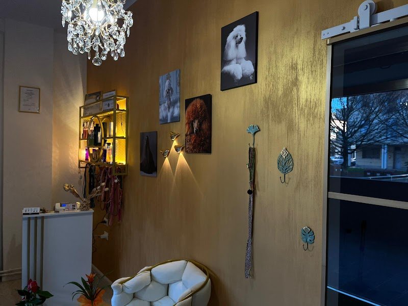 Toelettatura per principi e principesse - Foto 1