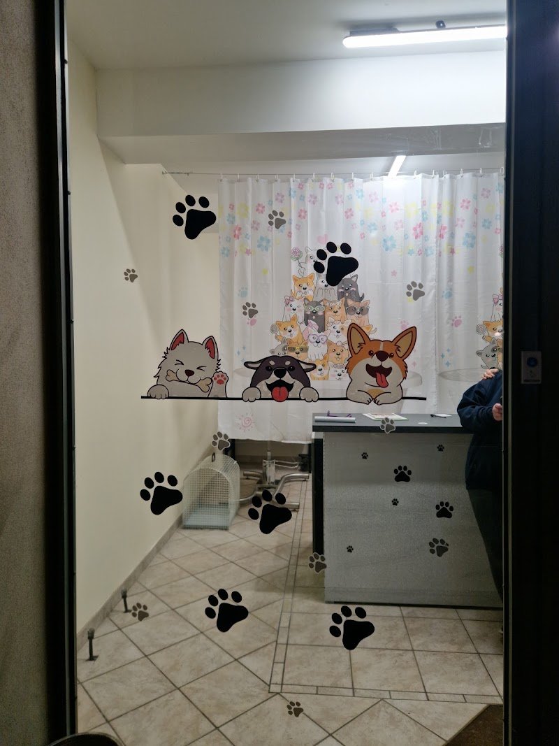 Toelettatura per un pelo - Foto 1