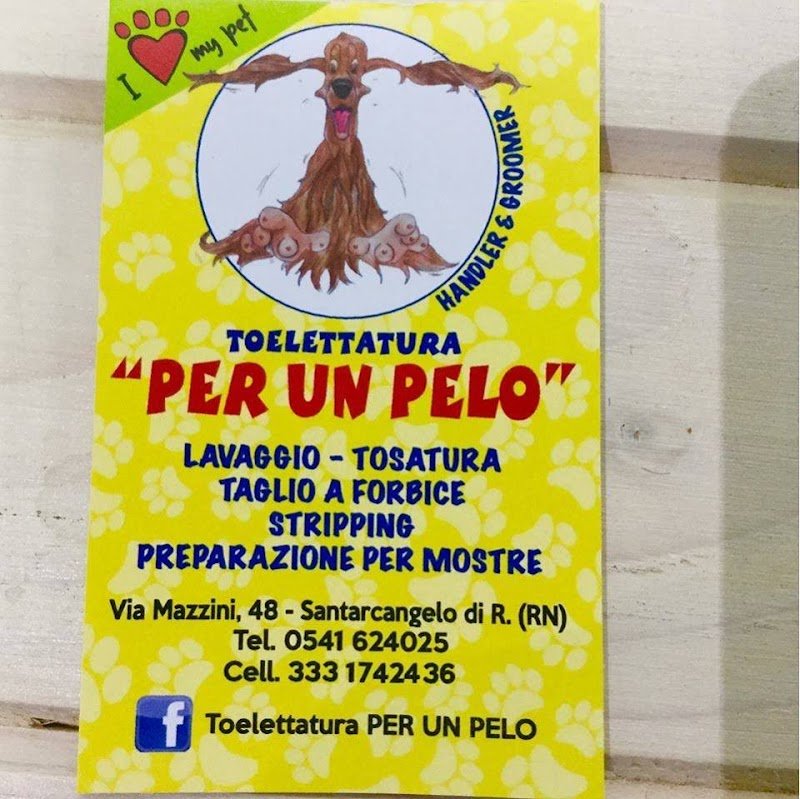 Toelettatura Per Un Pelo - Foto 1