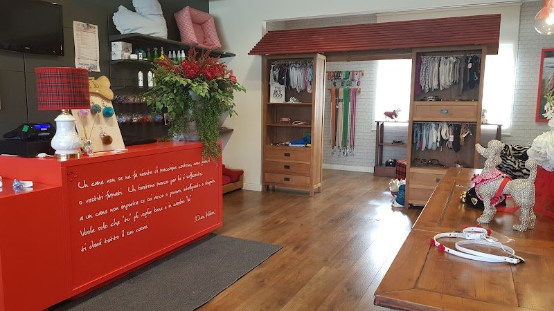 Toelettatura Petit Jo - Foto 1