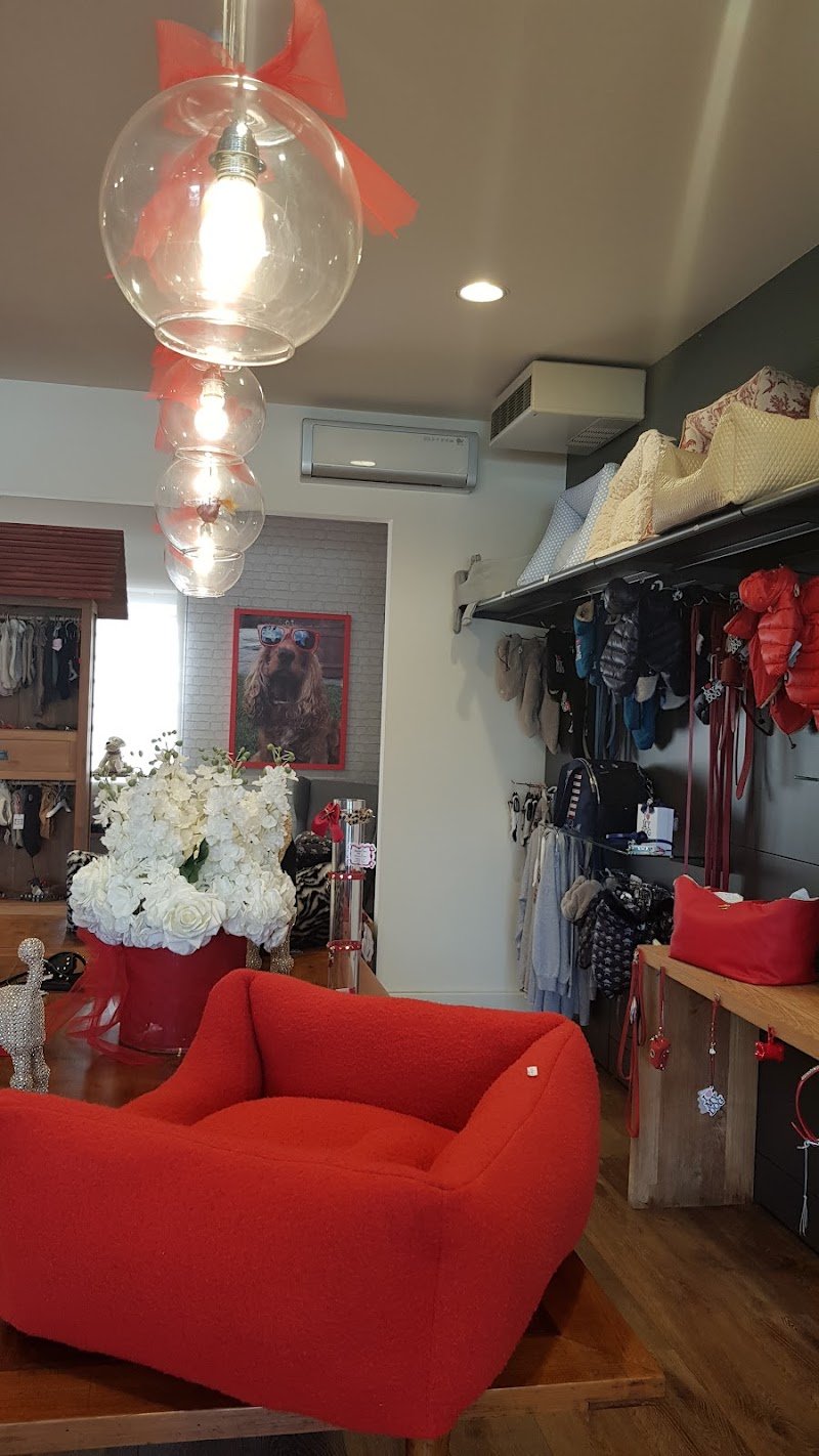 Toelettatura Petit Jo - Foto 6