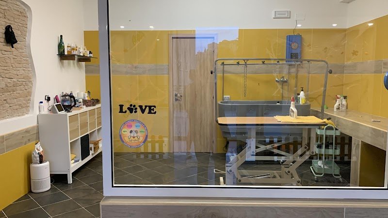 Toelettatura pets - Foto 2