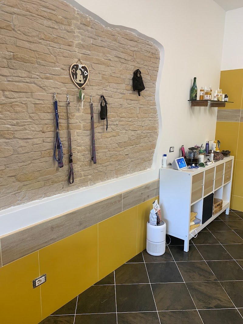 Toelettatura pets - Foto 6