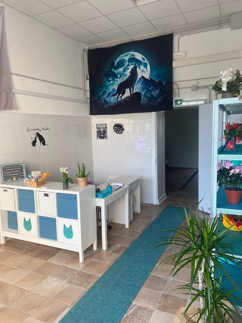 Toelettatura Piccole Canaglie - Foto 4