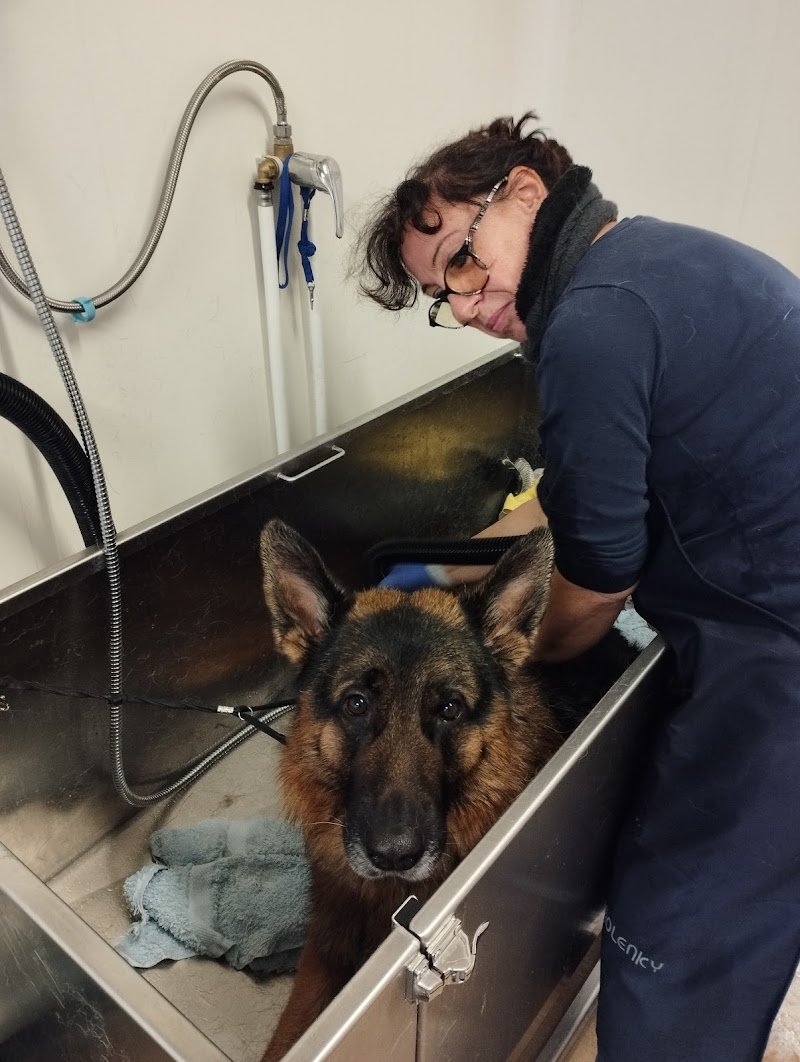 Toelettatura Piccole Canaglie - Foto 6