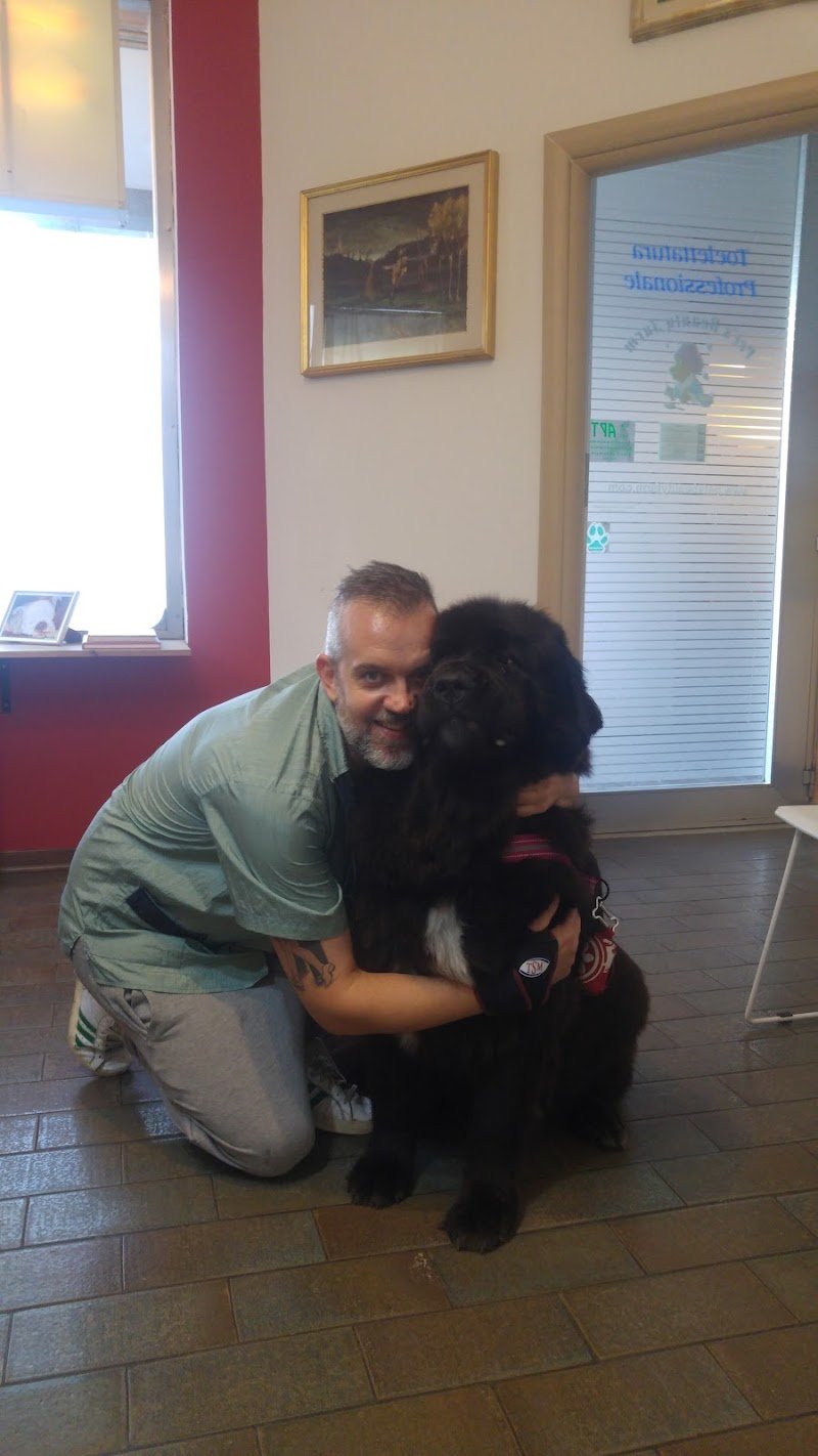 Toelettatura Professionale Pet's Beauty Farm - Foto 3