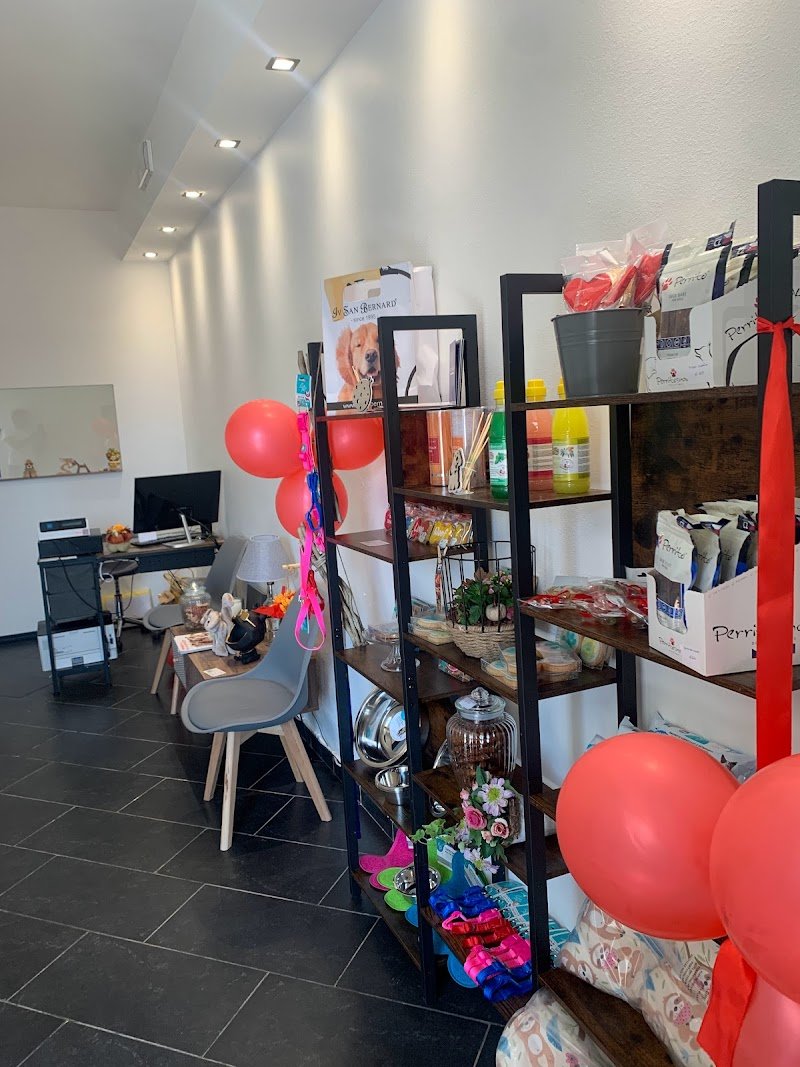 Toelettatura Qua la zampa - Foto 6