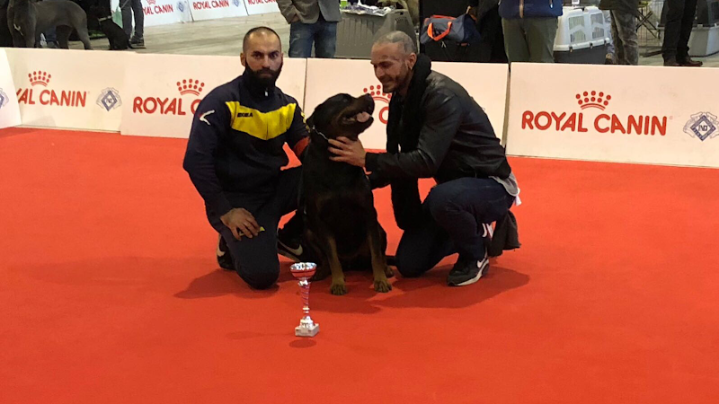 Toelettatura Salandra Francesco - Foto 1