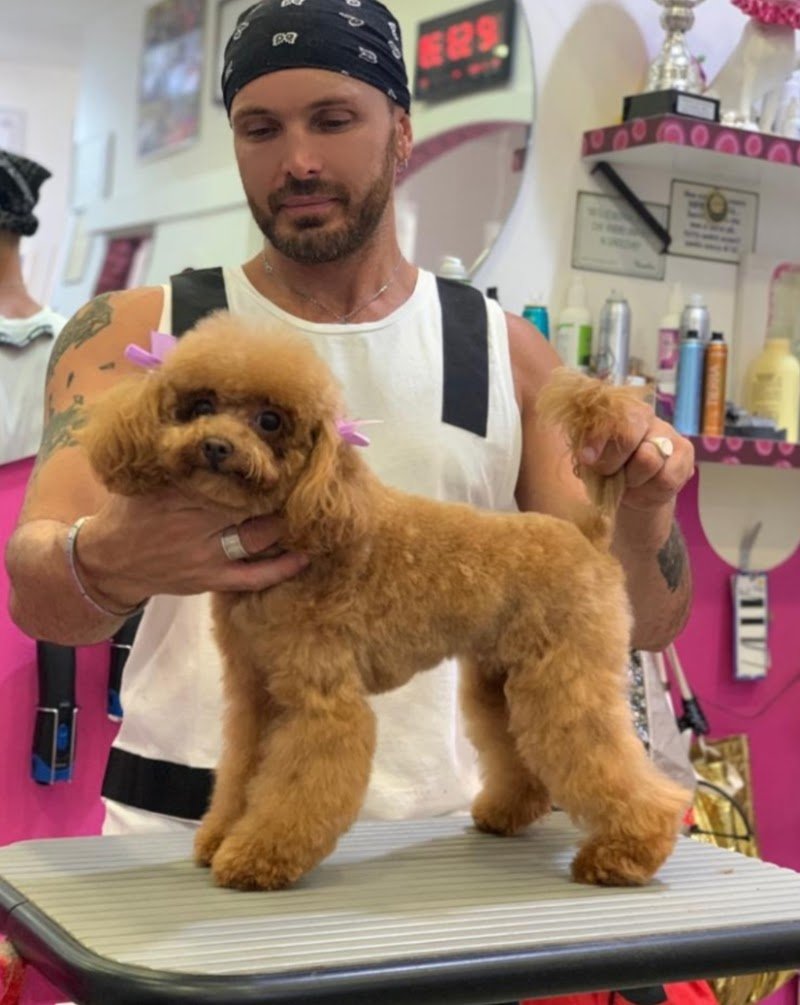 Toelettatura Salandra Francesco - Foto 3