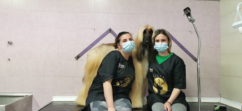 TOELETTATURA SALONE DI BELLEZZA - Foto 2