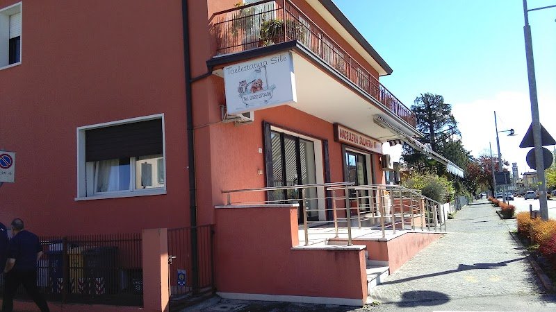 Toelettatura Sile - Foto 4