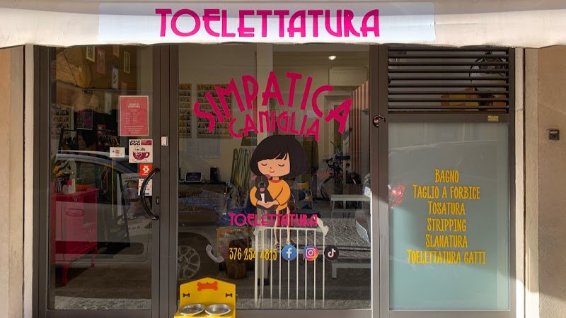 Toelettatura Simpatica Caniglia - Foto 1