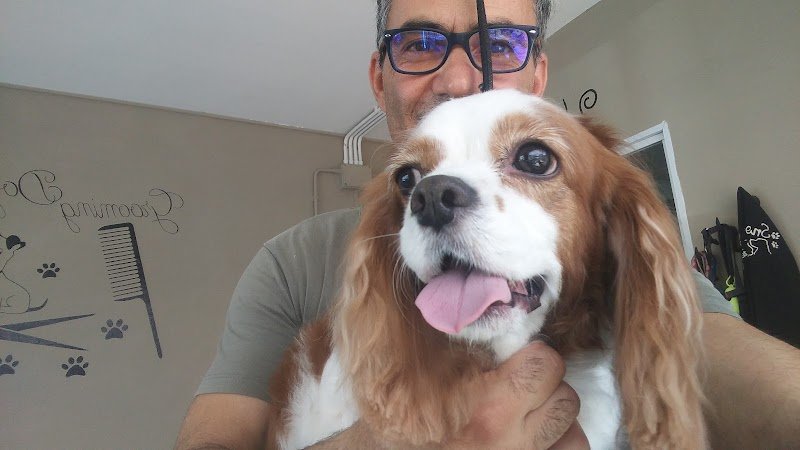 Toelettatura Snoopy & friends - Foto 6