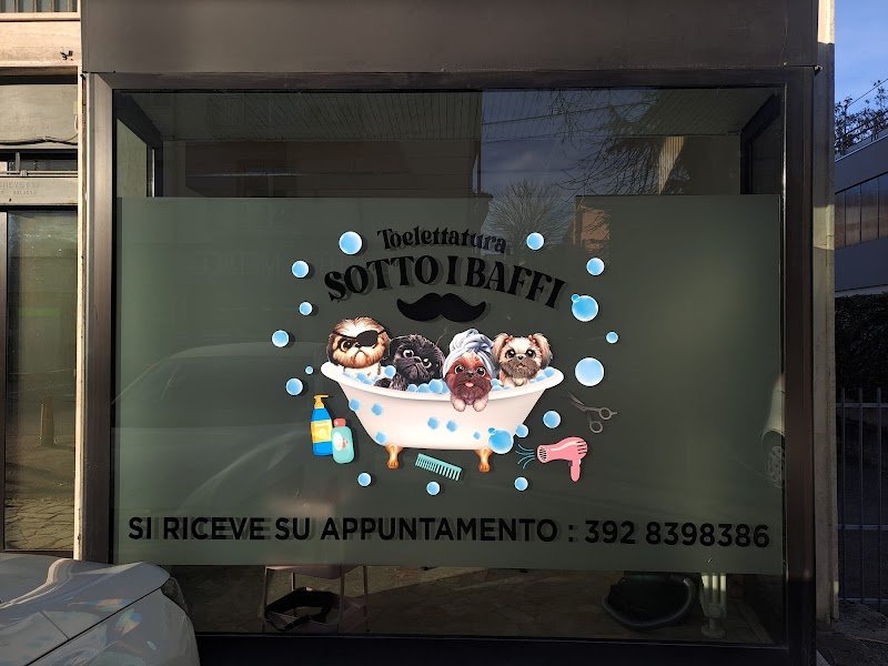 Toelettatura Sotto i baffi - Foto 1