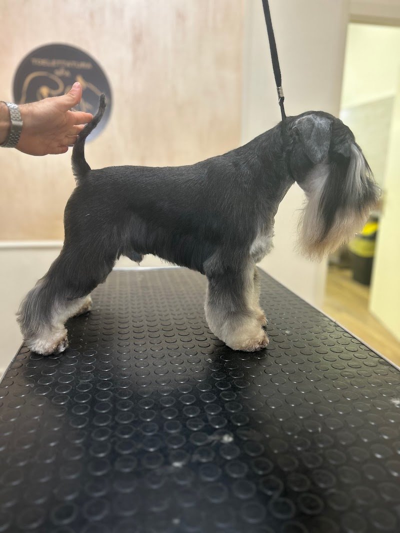 Toelettatura & SPA - Antonio Iuele - Foto 1