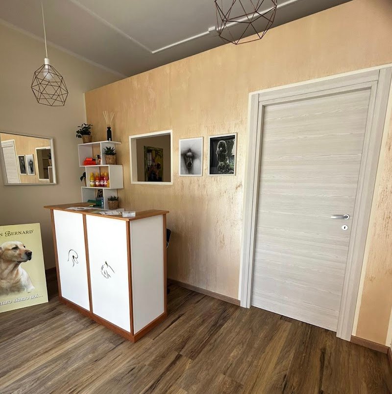 Toelettatura & SPA - Antonio Iuele - Foto 3