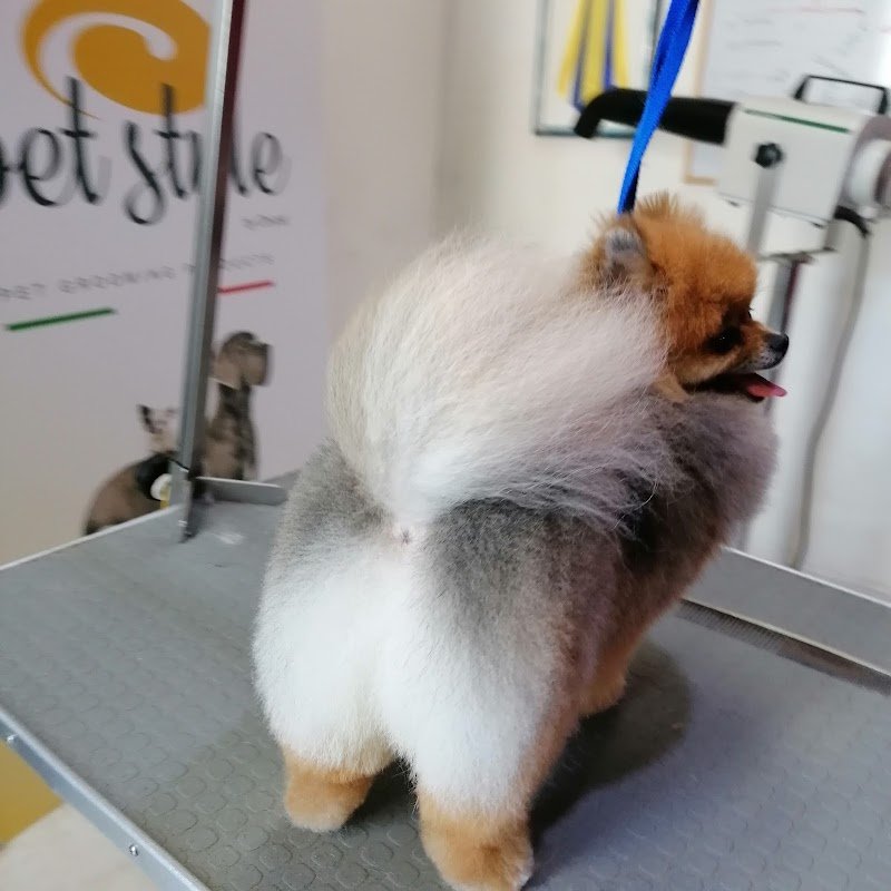 Toelettatura & Spa di Alessandro Rabito - Foto 3