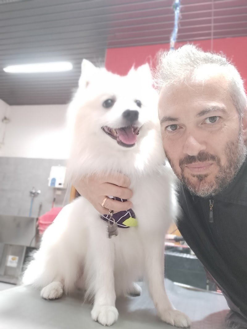 Toelettatura & Spa di Alessandro Rabito - Foto 5