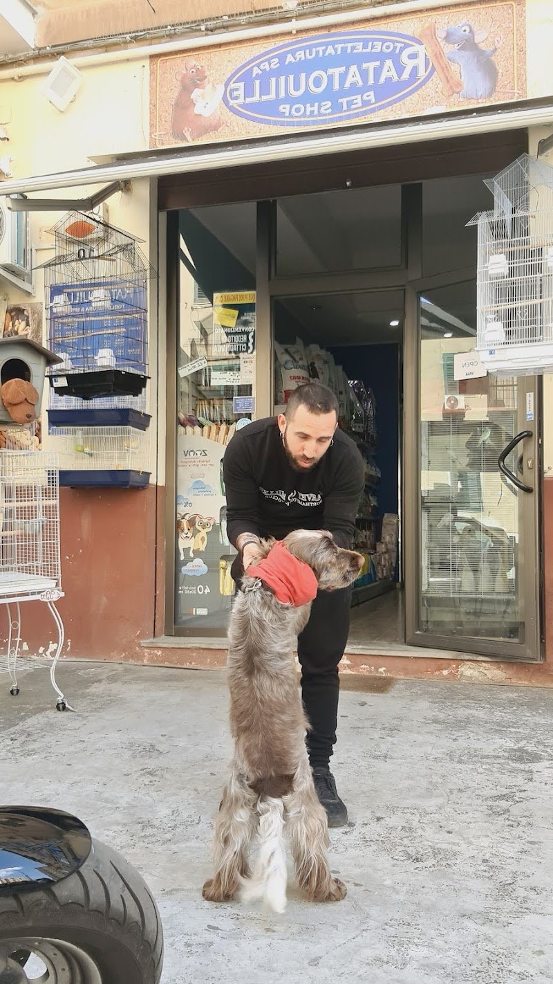 Toelettatura spa ratatouille pet shop Palermo - Foto 1