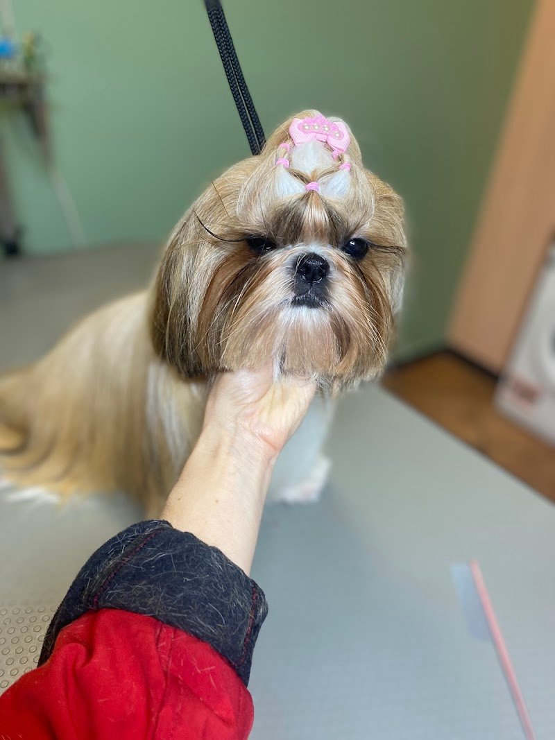 Toelettatura Toele...Tati - Foto 3