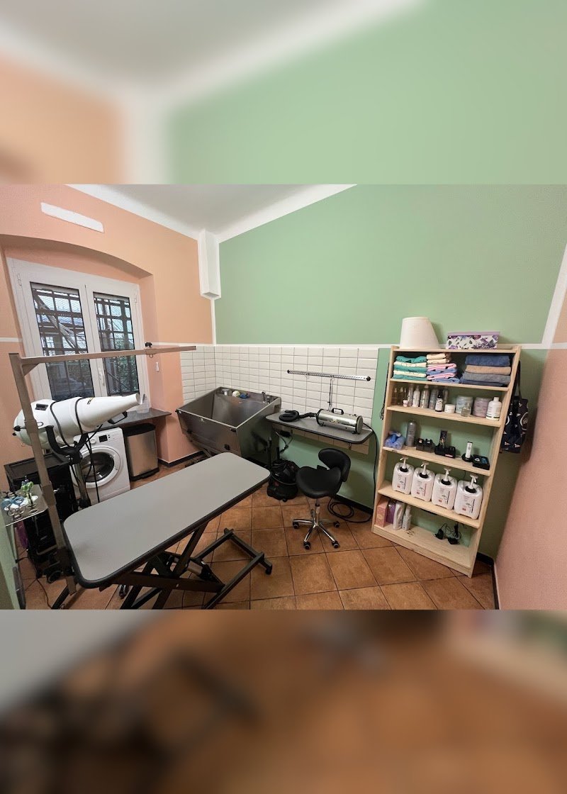 Toelettatura Toele...Tati - Foto 4