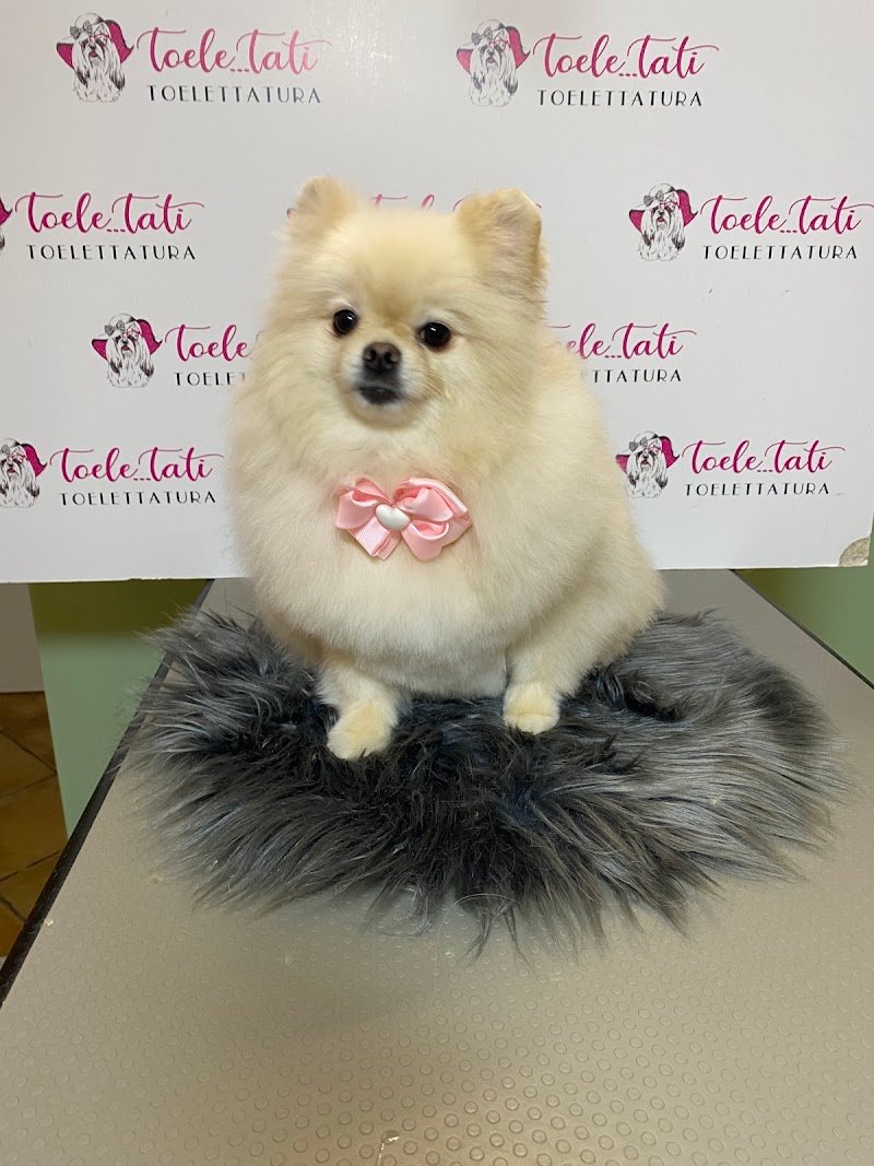 Toelettatura Toele...Tati - Foto 6