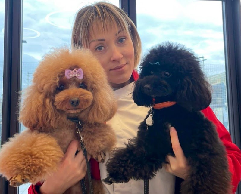 Toelettatura Toele...Tati - Foto 1