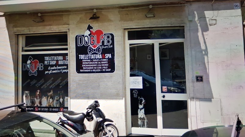 Toelettatura Torre Annunziata - DOGLAB - Foto 2